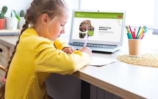 A new website for primary school De Boomhut!