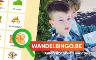 News wandelbingo 2x